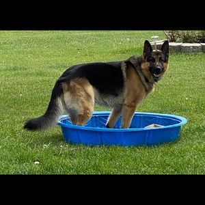 Meet your Posher, Brooklyn